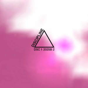 AAVV-Discipline-2-Compilation-2010-Ottodix-1-track (web)