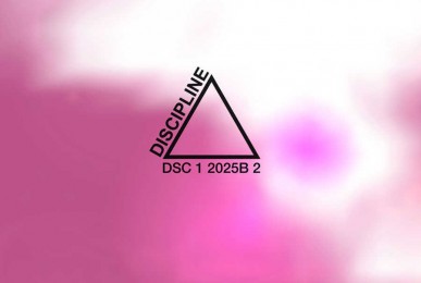 AAVV-Discipline-2-Compilation-2010-Ottodix-1-track (web)