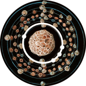 BIO Nucleo Uranio